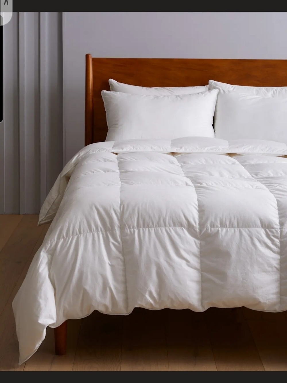 Quince Soft White All-Season Premium Down Alternative Comforter - King